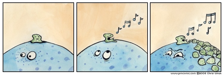 A Star Is Born