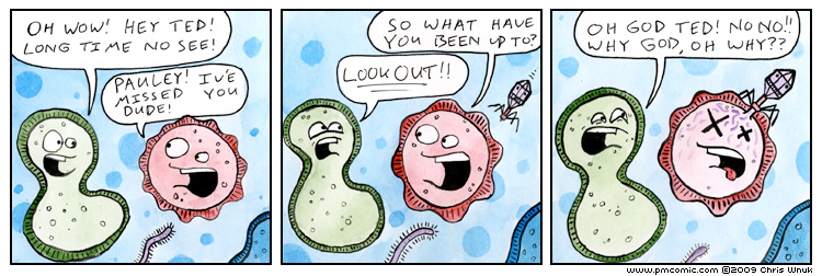 Life As A Cell